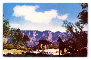 Deer At Grand Canyon Arizona Postcard