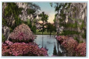 The Azalea Pool Middleton Place Gardens Charleston SC Handcolored Postcard