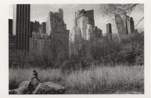 Child Urban Rock Climbing New York USA Central Park Photo Postcard