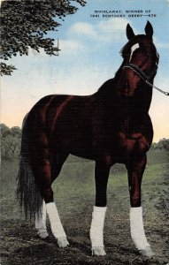 H76/ Louisville Kentucky Postcard Linen Whirlaway Derby Horse Champ 187