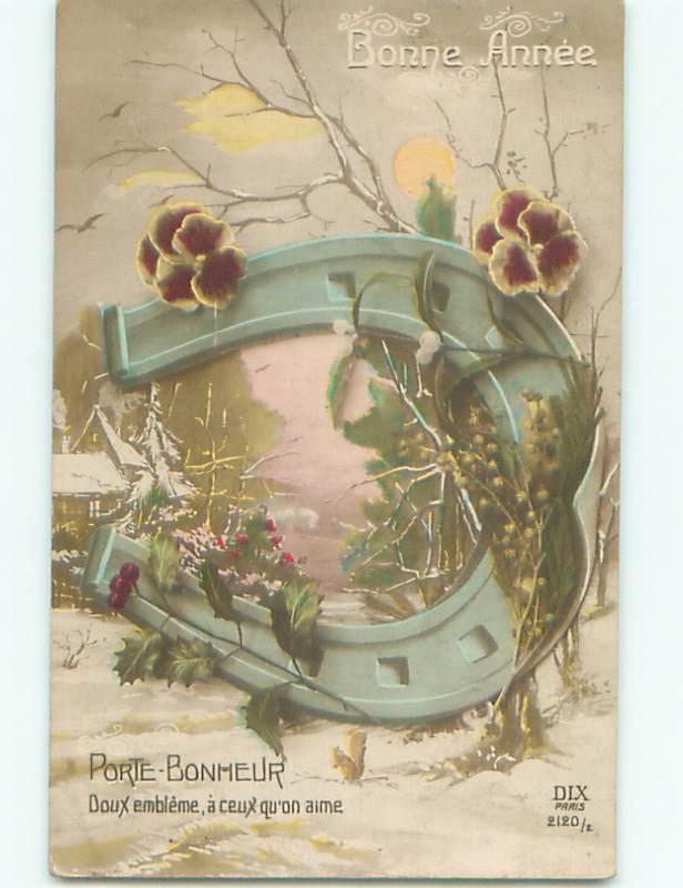 tinted rppc c1910 BEAUTIFUL FLOWERS AC9305