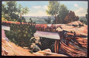 Vintage Postcard 1935 Natural Bridge, Petrified Forest, Arizona (AZ)