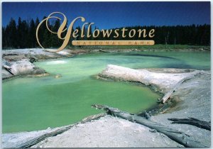 Postcard - Unnamed Pool in Mud Volcano Area - Yellowstone National Park