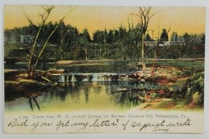 Chestnut Hill PA Scene Near Mt. St. Joseph College for Women 1907 Postcard S6