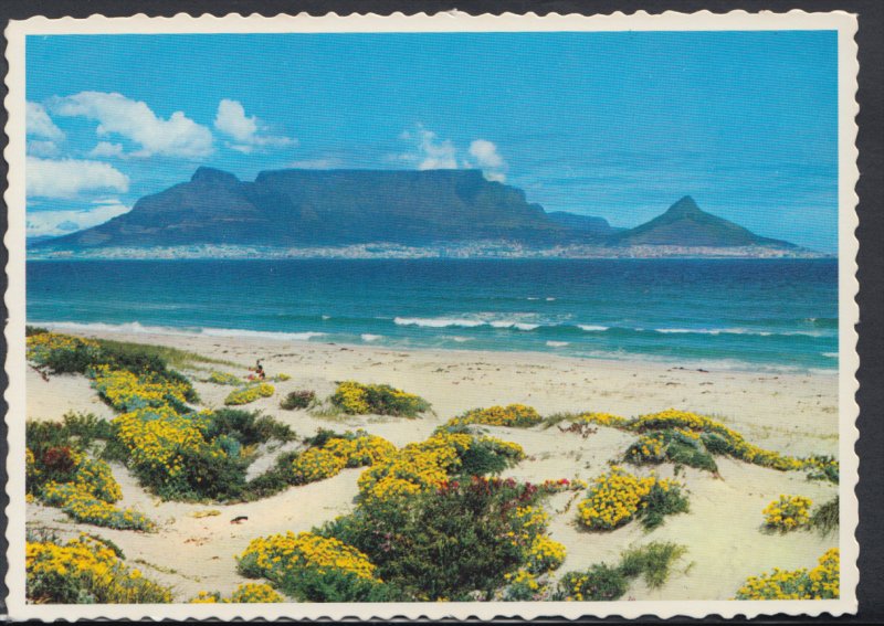 South Africa Postcard - Cape Town, Table Mountain From Blouberg Strand   DC1750