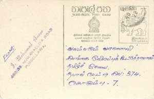 Entier Postal Stationery Postal Sri Lanka Ceylon Lion