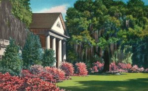 Vintage Postcard Orton Plantation Azalea Gardens Wilmington North Carolina NC