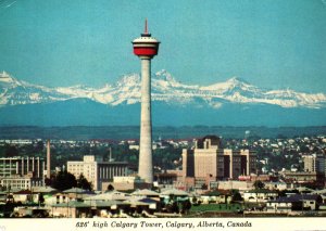 CONTINENTAL SIZE POSTCARD THE CALGARY TOWER AND ROCKY MOUNTAINS ALBERTA CANADA