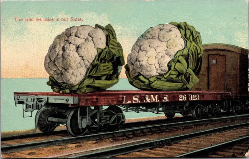 Comic Exaggeration, Carload of Cauliflower Vintage Postcard K09