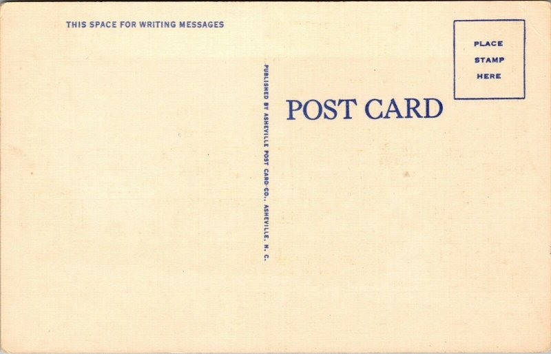 Vtg Clayton Georgia GA Hotel Green & Annex 1930s Old Linen Postcard