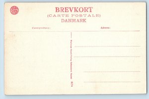 Nyborg Funen Denmark Postcard Holckenhavn Building Road View c1910 Antique