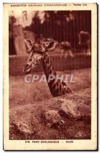 Old Postcard Paris Zoo Giraffe Paris International Exhibition 1937