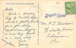 Palm Trees And Oleanders Postcard