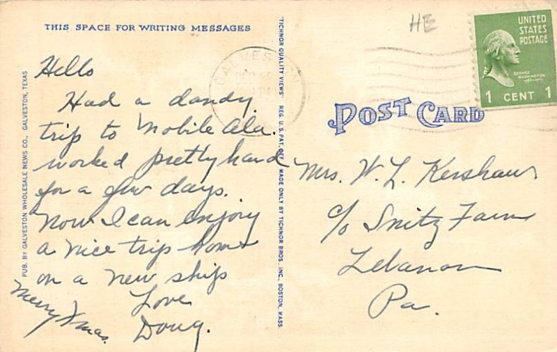 Palm Trees And Oleanders Postcard