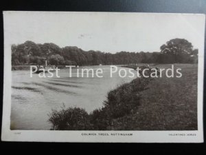 Nottingham COLWICK TREES & STEAM FERRY on the River Trent c1911 RP by Valentine