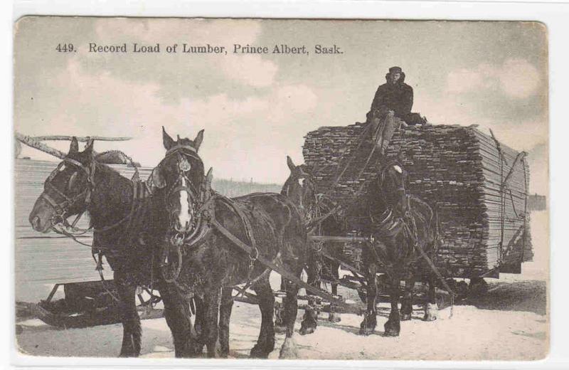 Horse Lumber Logging Team Prince Albert Saskatchewan Canada 1910c postcard