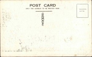 Fat Lady Circus Carnival Freak Miss Rosie c1910 Postcard