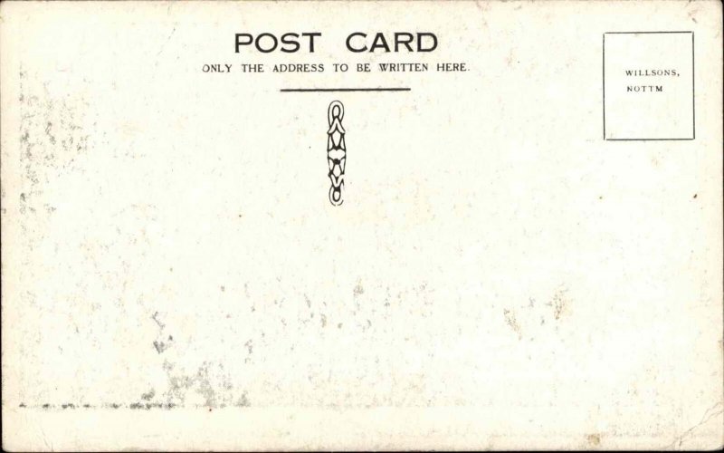 Fat Lady Circus Carnival Freak Miss Rosie c1910 Postcard