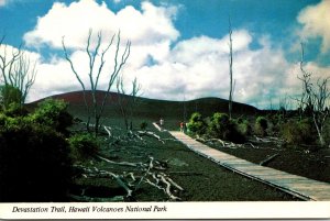 Hawaii Big Island Hawaii Volcanoes National Park Devastation Trail