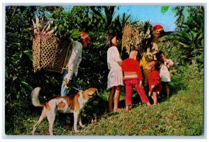 c1960's Adults Kids Dog Basket with Leaves Wulai Taipei Taiwan Postcard