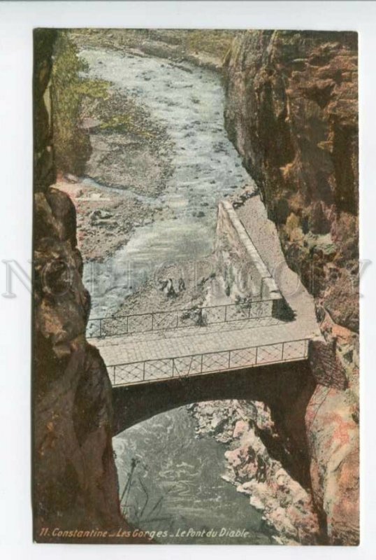 425828 ALGERIA CONSTANTINE Devil's Bridge Gorges Vintage postcard