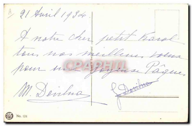 Postcard Old Lion Lioness