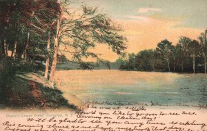 Vintage Postcard 1904 Drake's Lower Pond Forest Trees Irvington New Jersey NJ