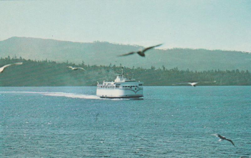 Seagulls and Ferry at Vancouver Island BC, British Columbia, Canada