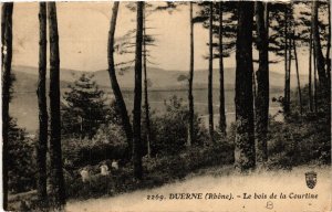 CPA DUERNE Le bois de la Courtine (443474)