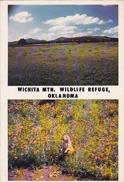 Wichita Mountain Wildlife Refuge Oklahoma