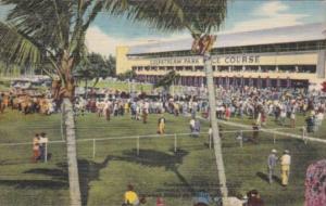 Horse Racing  Gulfstream Park Florida 1951