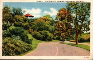 New York Watertown Drive In Thompson Park Showing Pinnacle 1935 Curteich