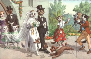 Alfred Mainzer Cat Fantasy No. 4938 Wedding Marriage Photographer Postcard