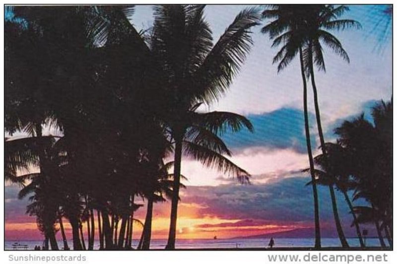 Hawaii Honolulu Sunset In Hawaii