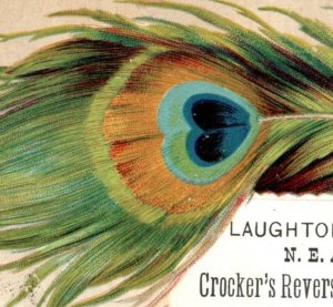 1878 Laughton & Towne Crocker's & Mudie's Library Feathers Lot Of 2 F160