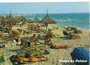 Spain Postcard - Mallorca - Playa de Palma - Ref TZ2917