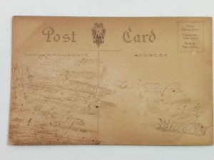 Vintage Postcard 1910's A Tree Lined By the River or Lake