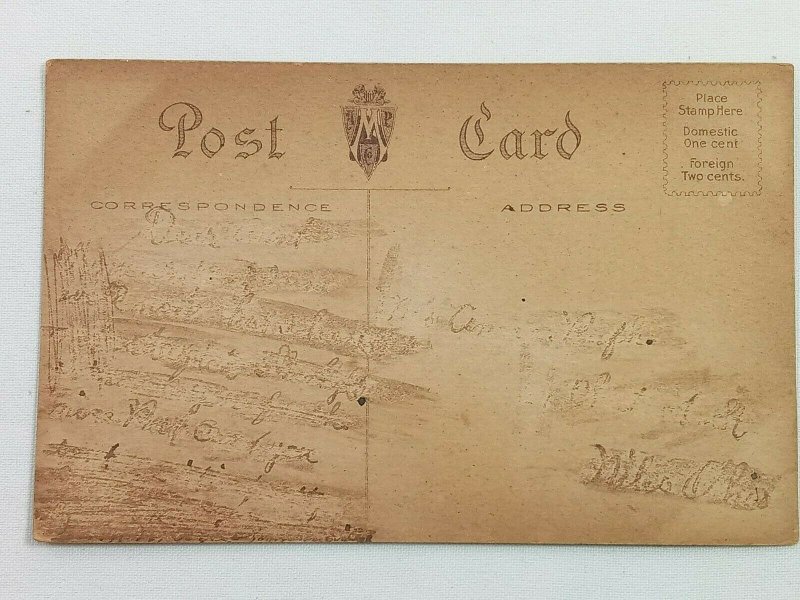 Vintage Postcard 1910's A Tree Lined By the River or Lake