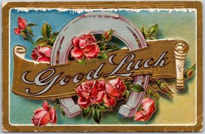 Good Luck Magnet Flower Red Roses Bordered Greetings Wishes Card Postcard