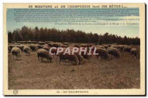 Old Postcard Folklore Champagne-Mouton