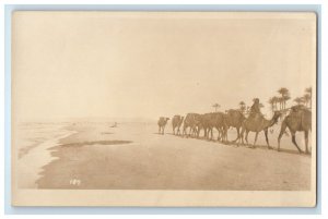 c1920's Camels In Lebanon, Beach Scene RPPC Photo Unposted Vintage Postcard