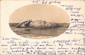 RPPC MA Scituate Minot Well Rock