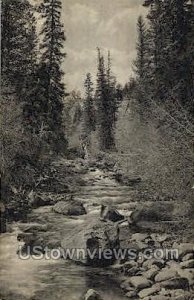 Trout Stream Near Leadville - Colorado CO  