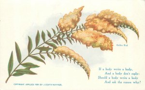 J Edith Nutter Golden Rod Poem Postcard Litho Unused