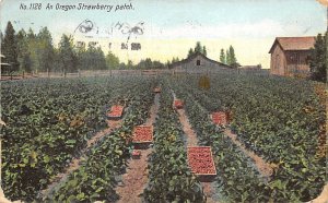 Oregon Strawberry Patch Oregon, USA Fruit Assorted 1911 postal marking on fro...