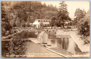 Columbia River Highway Oregon 1940s RPPC Real Photo Postcard Fish Hatchery