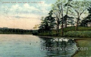 Fowl, Jamaica Pond - Jamaica Plain, Massachusetts MA