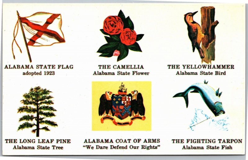 Postcard AL Alabama State Symbols