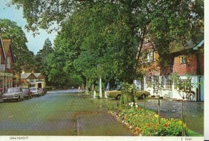 Hampshire Postcard - View of Grayshott - Ref TZ245