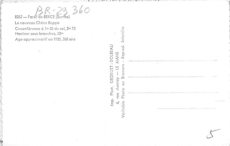 BR29358 Chatelaillon france